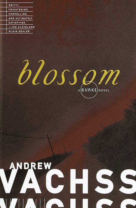 Title details for Blossom by Andrew Vachss - Available